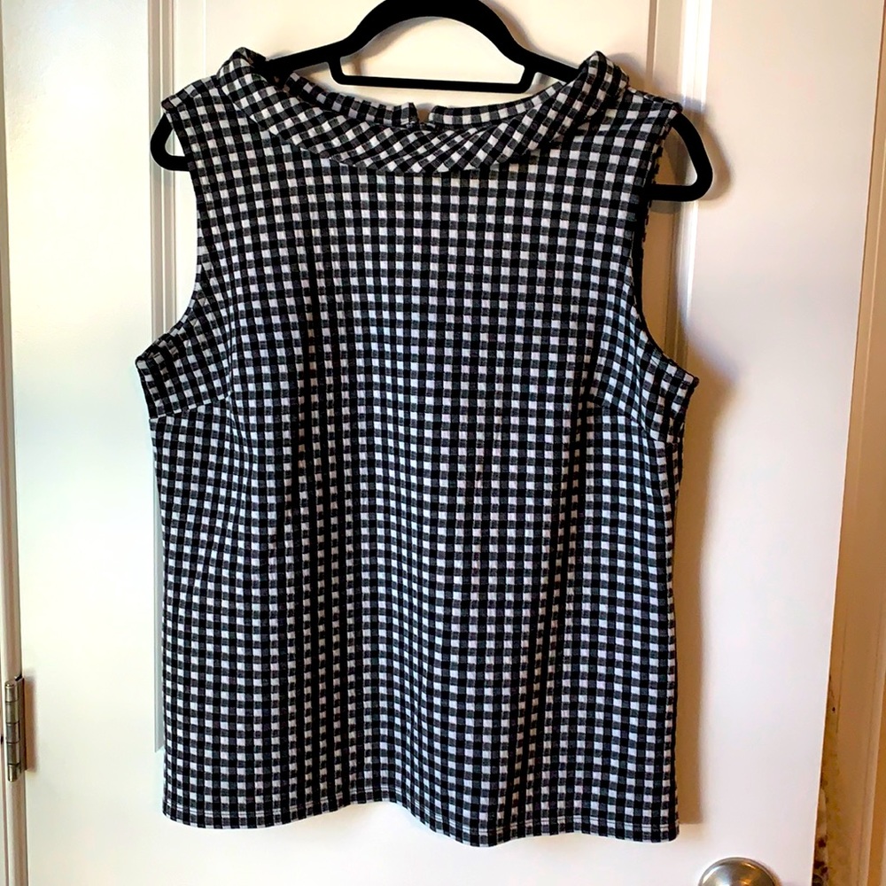 Talbots L Sabrina sleeveless gingham shirt - pints